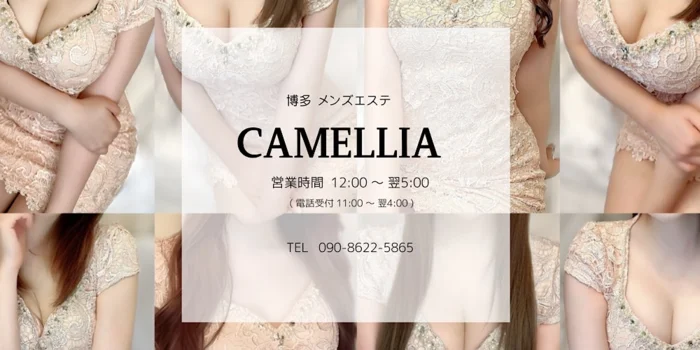 メンズエステ　Camellia