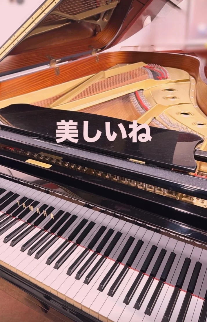 今日も今日とて