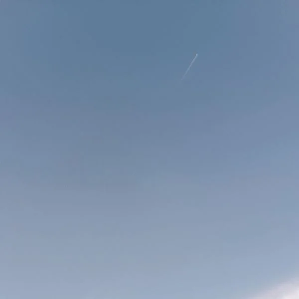 なんだか嬉しかった話🙈