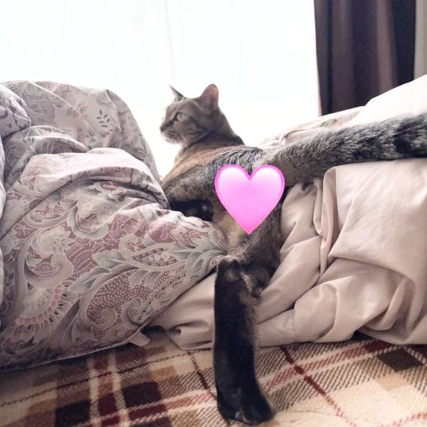 おつかれさまです！！