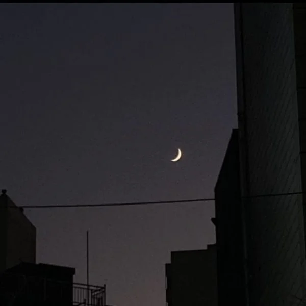 おやすみなさい🌙