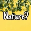 プライベートサロン・Natureナチュレ