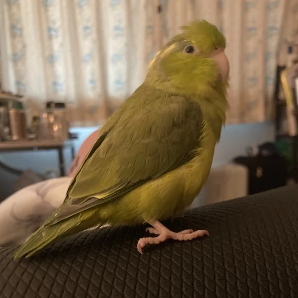 お休み☀️