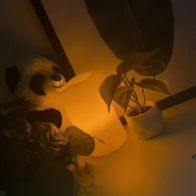 お店の特徴その3