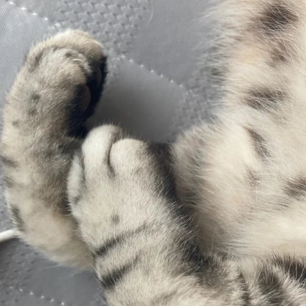おはようございます