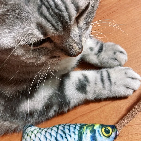 こんばんは