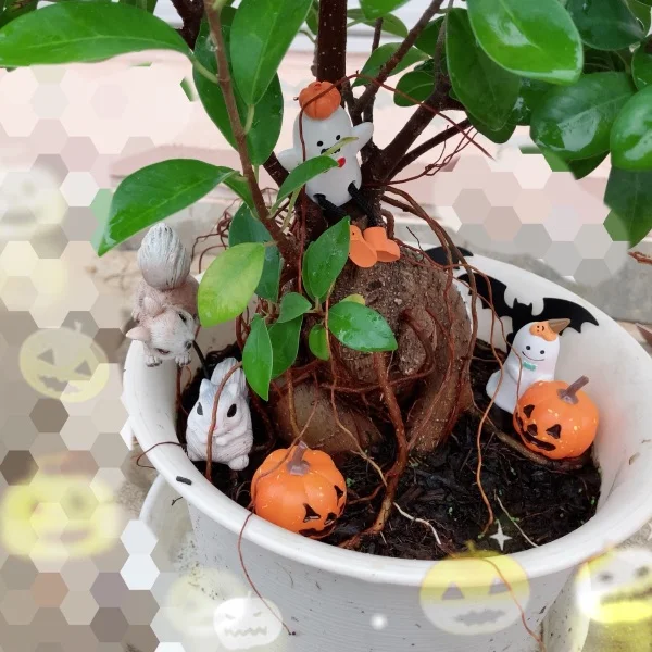 こんばんは