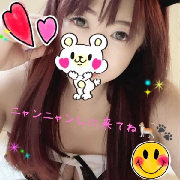 猫飼ってます🐱💕