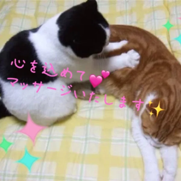 ムシムシですね🐌💨