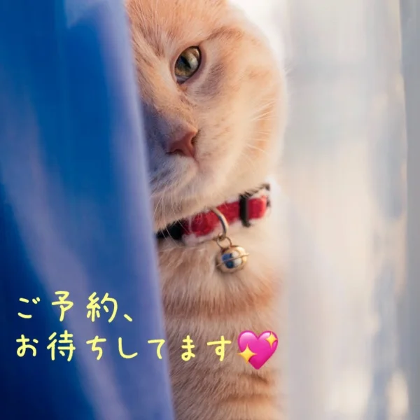 クールスポットありますよ⛄️✨️✨