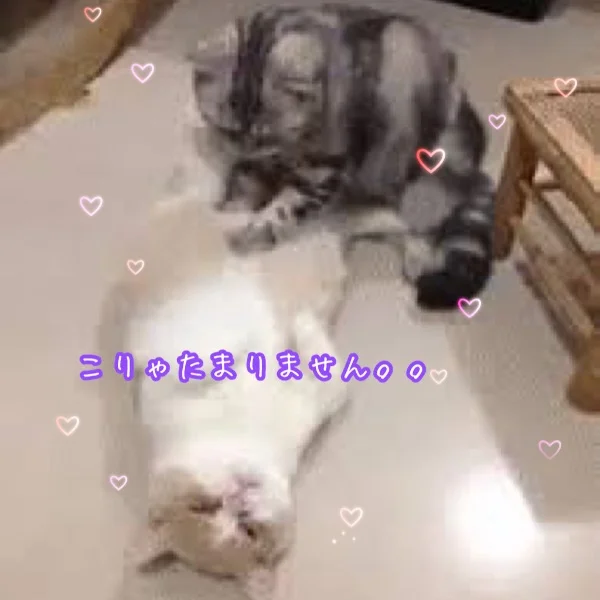 健康マッサージ💕