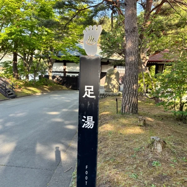 リフレッシュ🌿