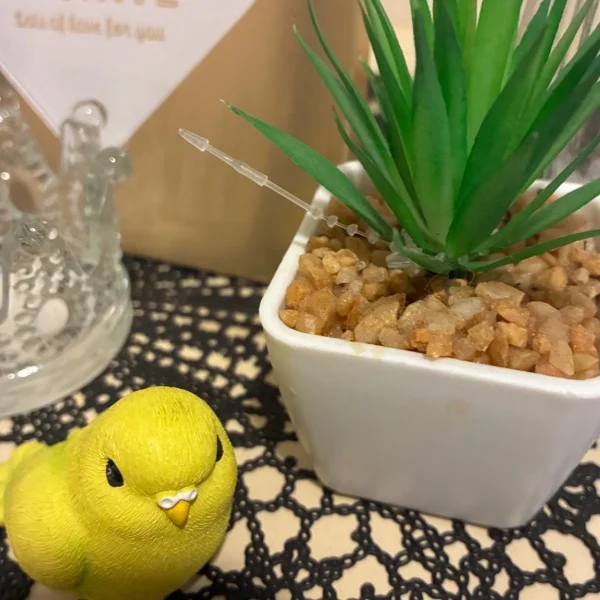 おやすみ