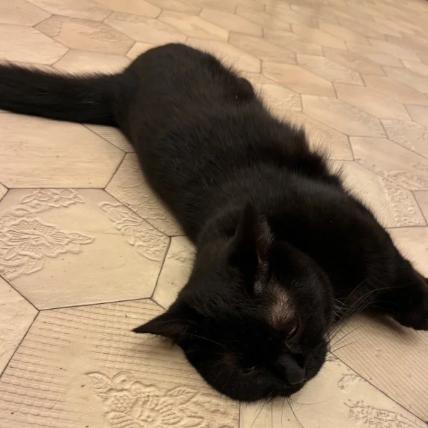 おやすみ💤