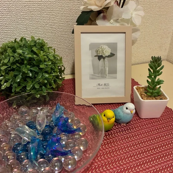 こんばんは