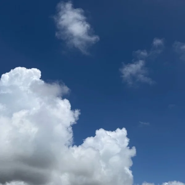 おはようございます