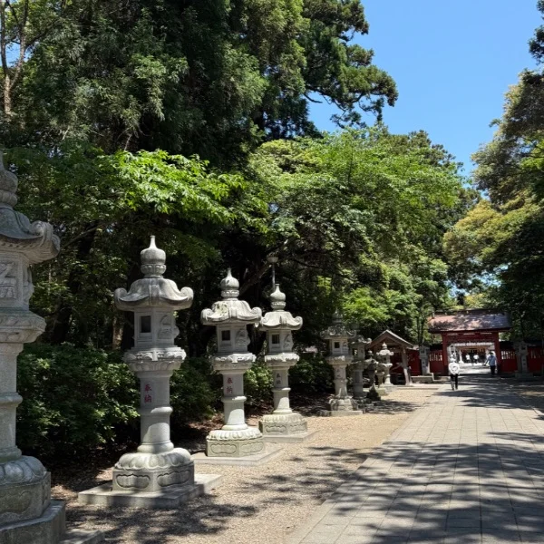 おはようございます