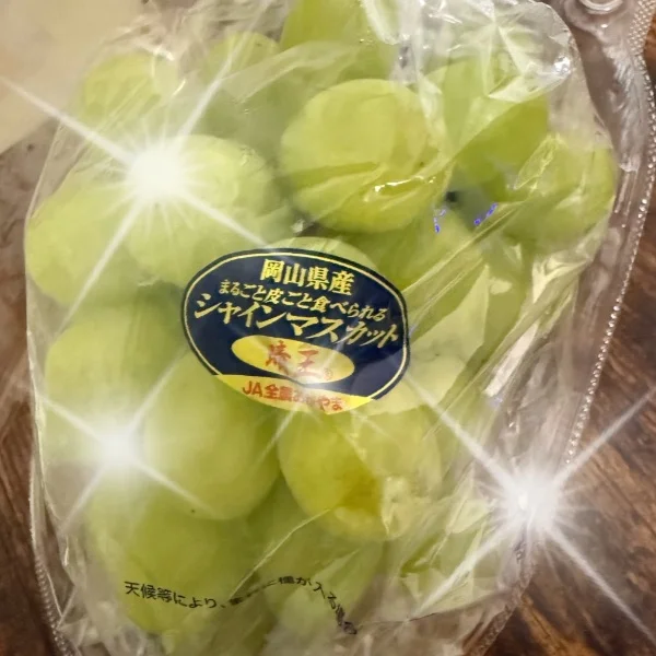 本日もありがとうございました
