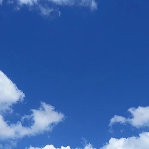 おはようございます