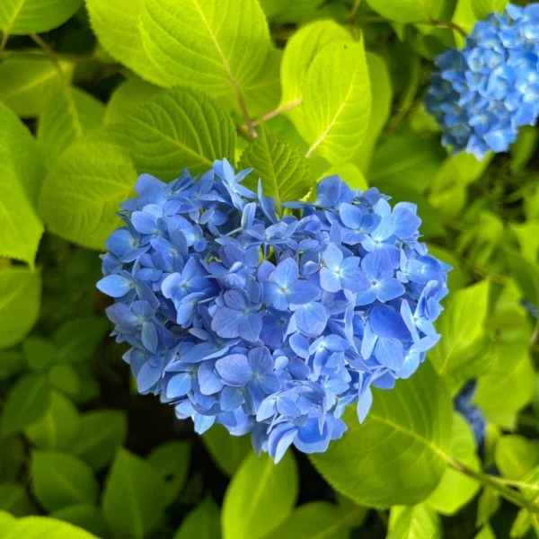 本日もありがとうございました