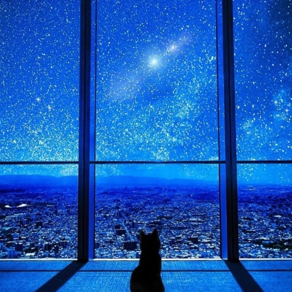 夜更かしさん
