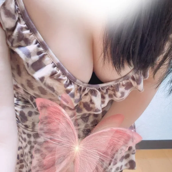 準備完了✅しました