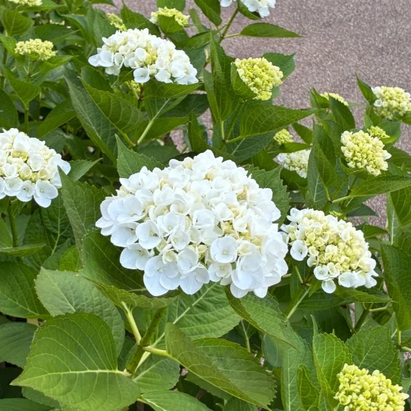 おはようございます💕