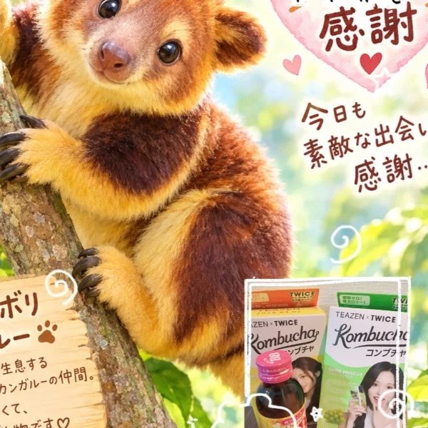 ありがとうございました🫧