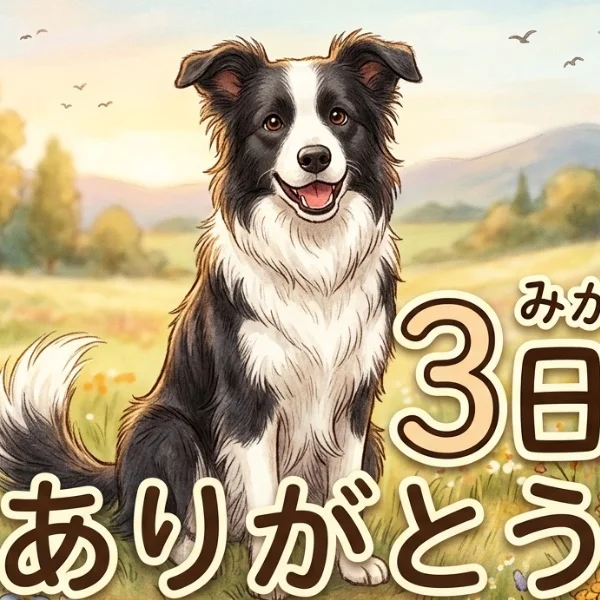 ありがとうございました☺️💕