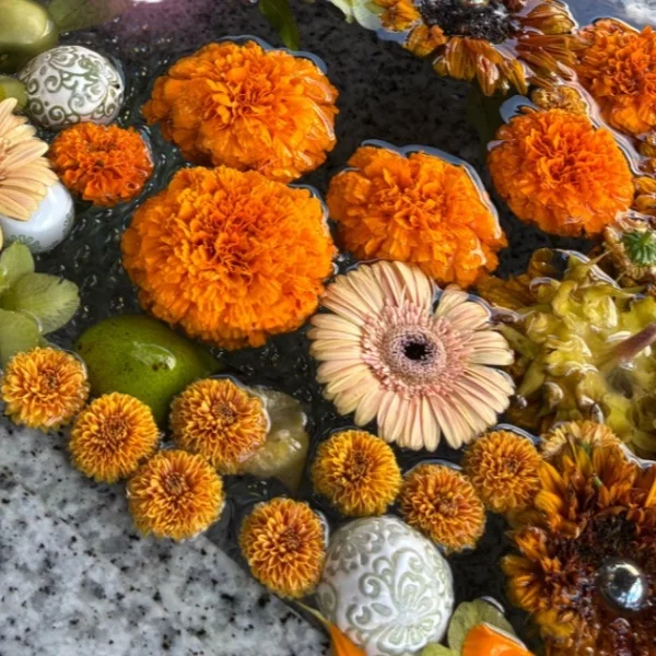 ⭐︎花手水⭐︎