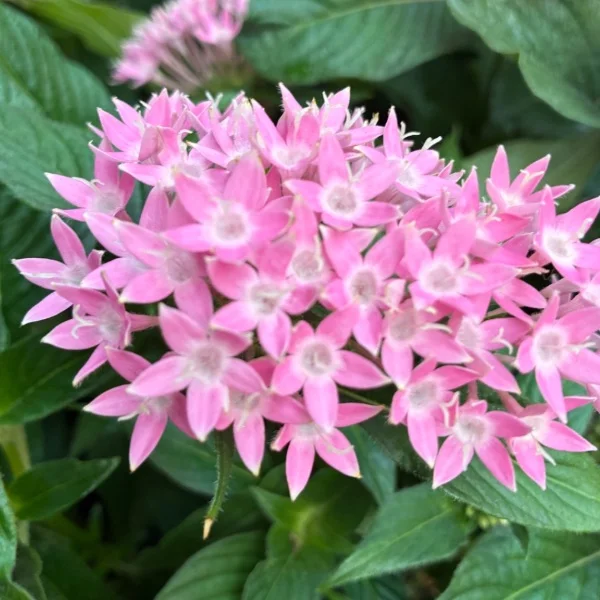 おはようございます💖