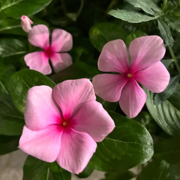 おはようございます💖