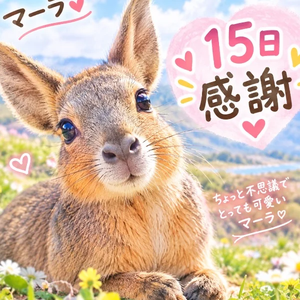 ありがとうございました🫧