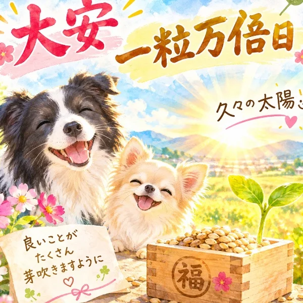 おはようございます🫶🏻