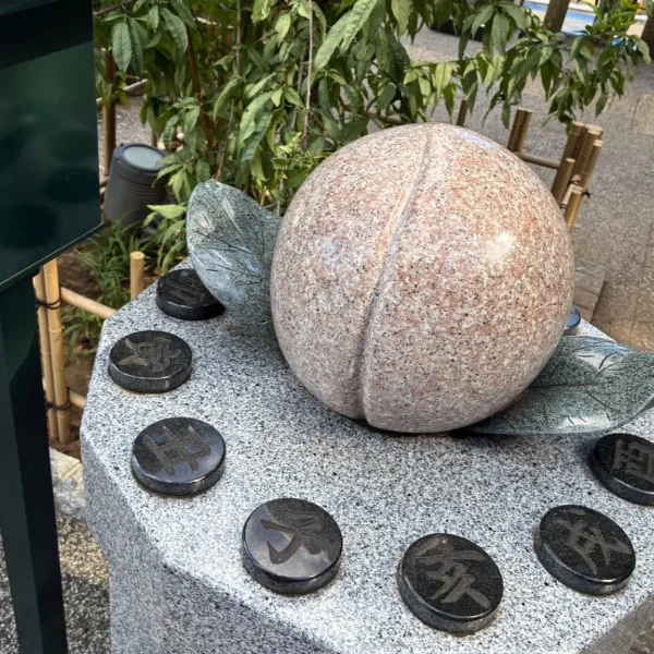 おはようございます✌️