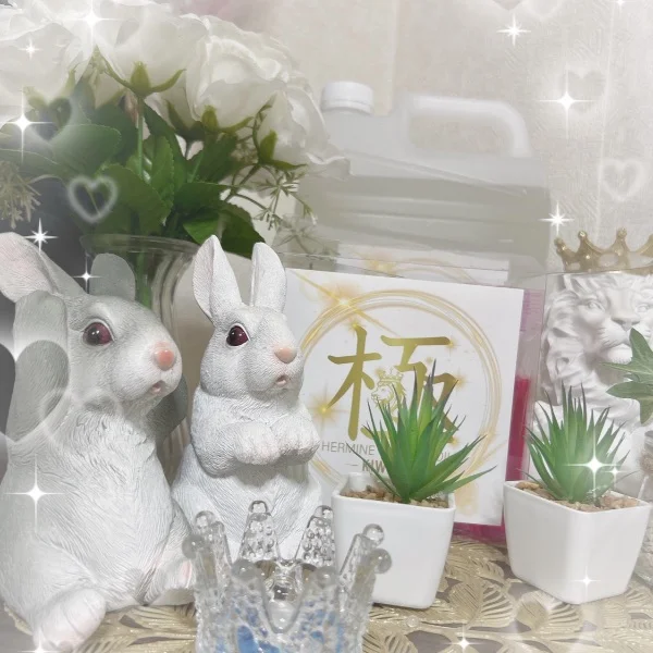 おはようございます🌺