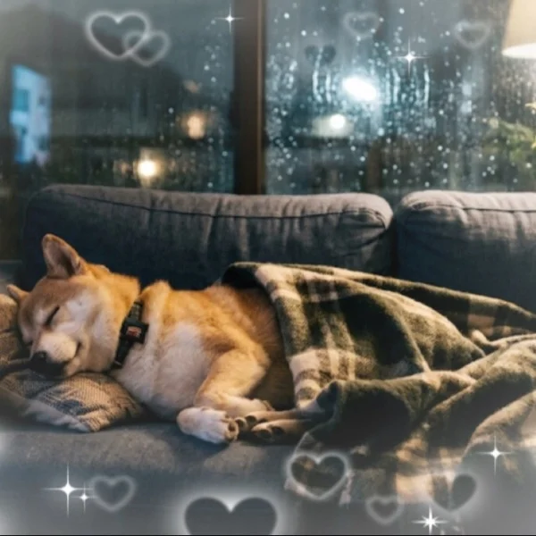 明日は10時～出勤いたします🌼*･