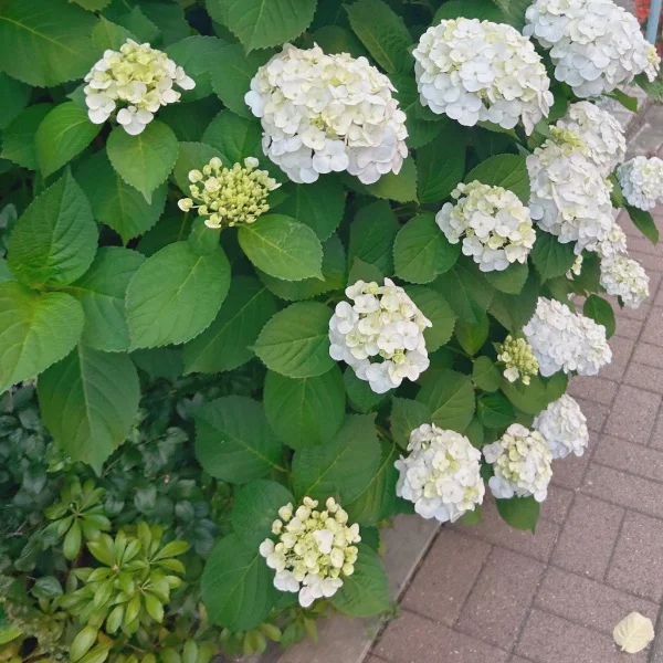 気づいたらびっくり
