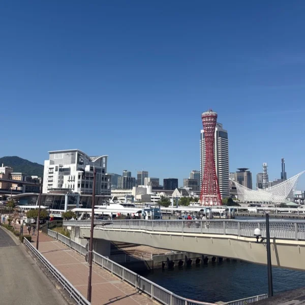 落ち着くう🤣