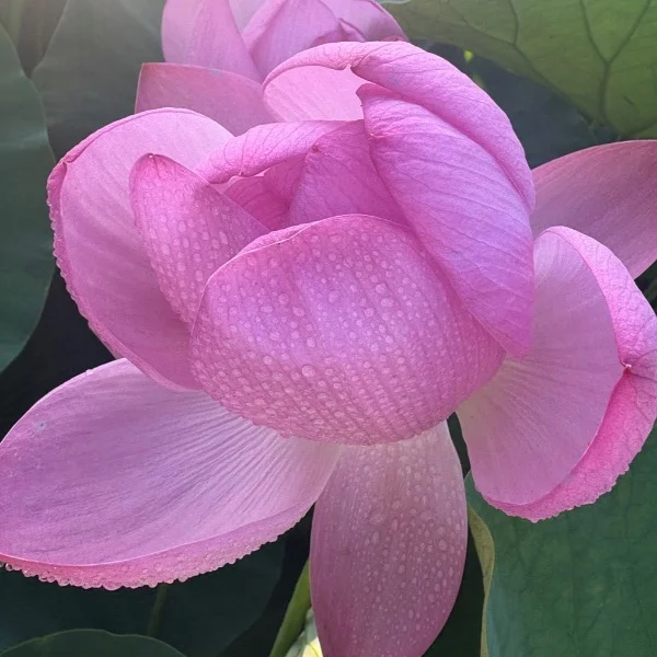 初めてがいっぱい❣️