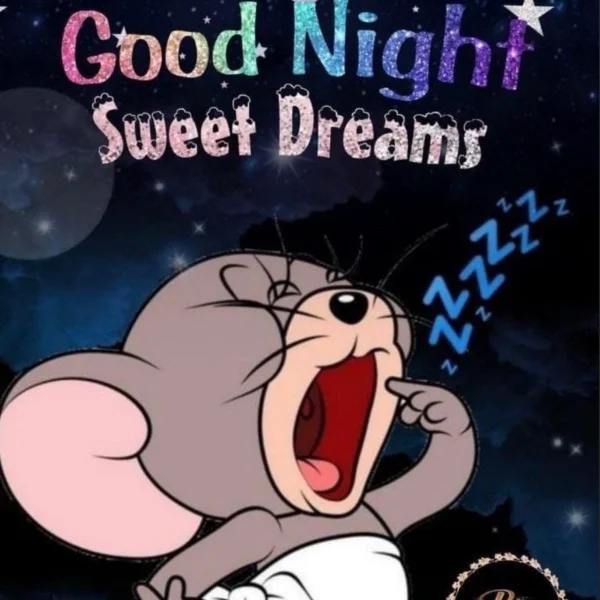 こんばんは🌙