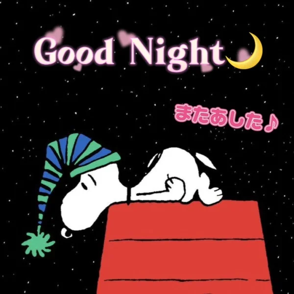 こんばんは🌙