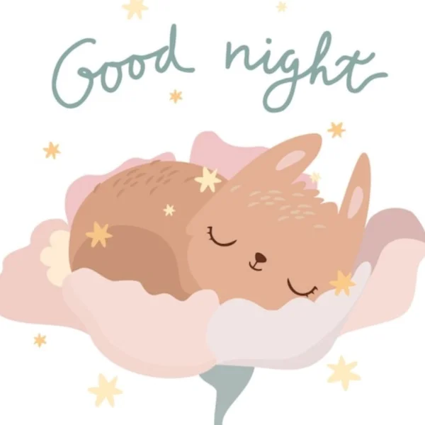 こんばんは🌙
