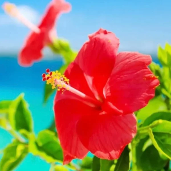 おはようございます☀️