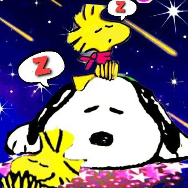 こんばんは🌙