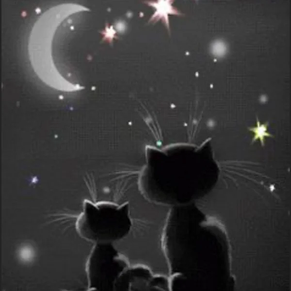 こんばんは🌙