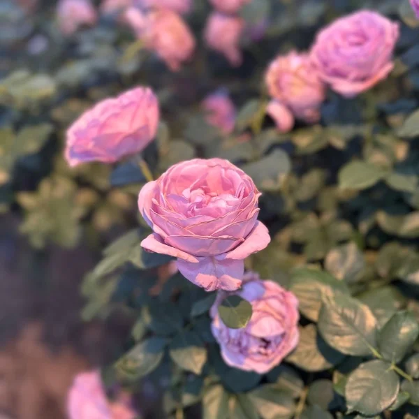 17:00出勤✨