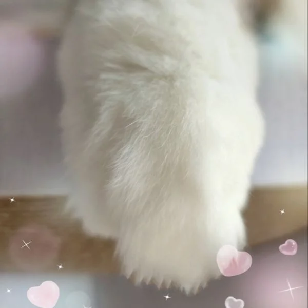 こんばんは🌙