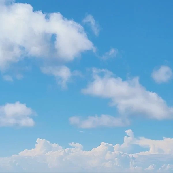 こんにちは☀️