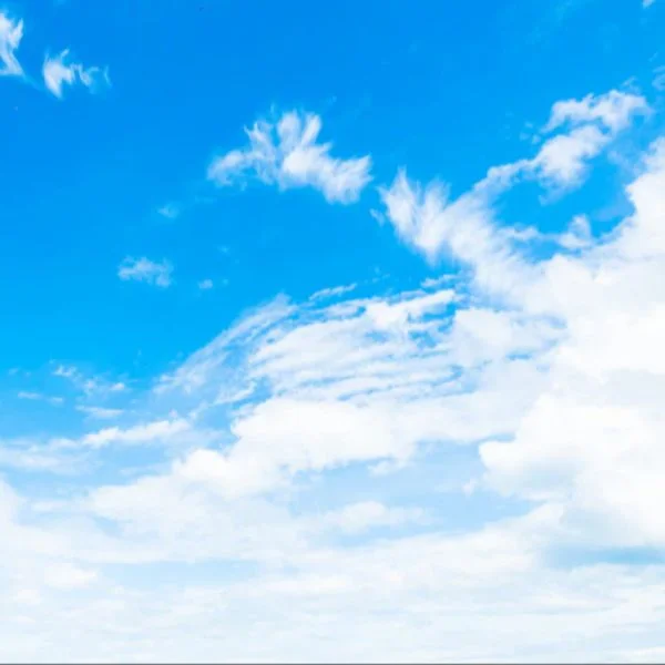 こんにちは☀️
